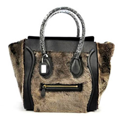 셀린느 러기지백