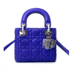 디올 마이크로 레이디 램스킨