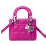 디올 마이크로 레이디 램스킨