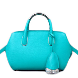 디올 토드크로스백 에메랄드