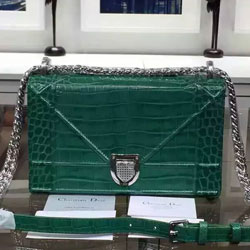 크리스찬디올 16년 보이백 와니 그린