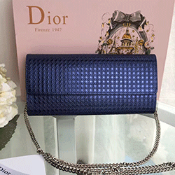 크리스찬 디올 신상 파우치백