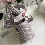 크리스찬디올 토드백