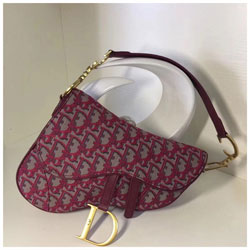 크리스찬 디올 SADDLE 백