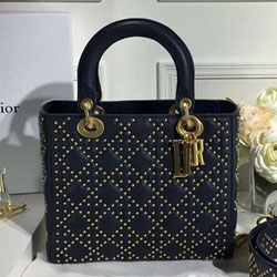 크리스찬디올 토드백 25cm