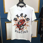 필립플랜 PP-6466