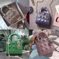 크리스찬디올 토드백 17cm DO-20181239