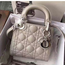 크리스찬디올 토드백 17cm DO-20181239