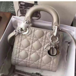 크리스찬디올 토드백 17cm DO-20181239