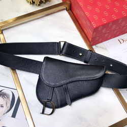크리스찬디올 웨이스트 백 DR-190601