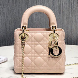 크리스찬디올 토드백 17cm DR-190820