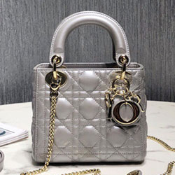 크리스찬디올 토드백 17cm DR-190820