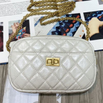 샤넬 카메라 케이스 AS200302