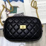 샤넬 카메라 케이스 AS200302