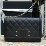샤넬 플랩 WOC백 CH201204