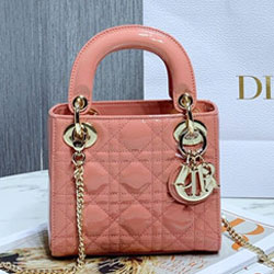 크리스찬디올 토드백 17cm DR-210130
