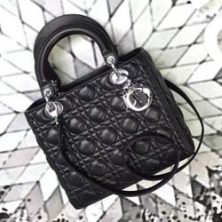 크리스찬디올 토드백 24cm DR-190819