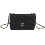 샤넬 WOC백 19cm AS4456