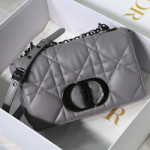 크리스찬디올 크로스백 20cm S8018