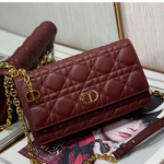 크리스찬디올 크로스백 DR220225