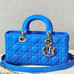 크리스찬디올 토드백 DR0540