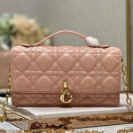 크리스찬디올 숄더백 230411