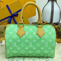 루이비통 Speedy P9 반둘리에 25 M24423