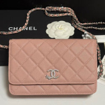 샤넬 WOC 플랩 백 AP3723