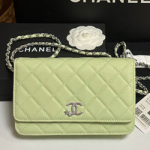 샤넬 WOC 플랩 백 AP3723